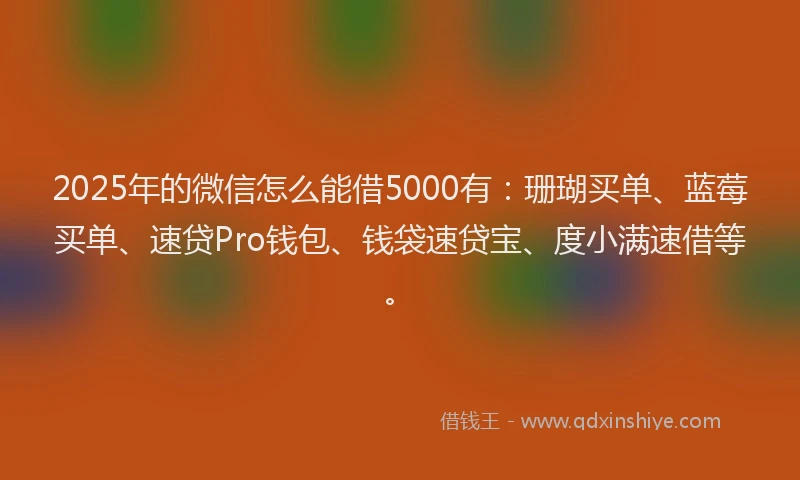 2025年的微信怎么能借5000有：珊瑚买单、蓝莓买单、速贷Pro钱包、钱袋速贷宝、度小满速借等。