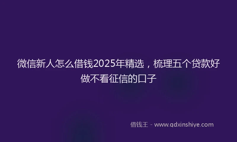 微信新人怎么借钱2025年精选，梳理五个贷款好做不看征信的口子