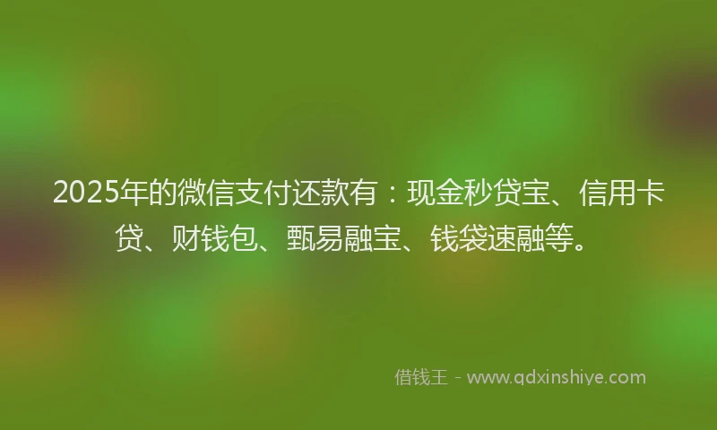 2025年的微信支付还款有：现金秒贷宝、信用卡贷、财钱包、甄易融宝、钱袋速融等。
