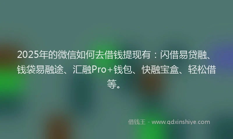 2025年的微信如何去借钱提现有：闪借易贷融、钱袋易融途、汇融Pro+钱包、快融宝盒、轻松借等。