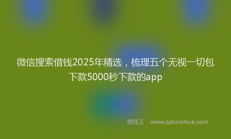 微信搜索借钱2025年精选，梳理五个无视一切包下款5000秒下款的app