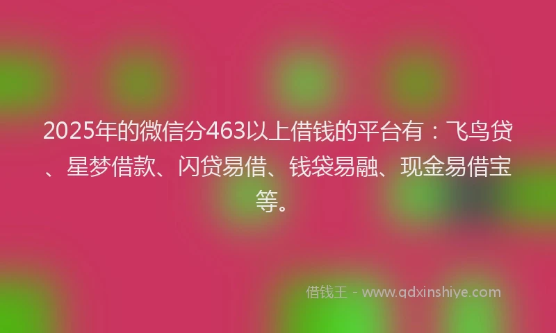 2025年的微信分463以上借钱的平台有：飞鸟贷、星梦借款、闪贷易借、钱袋易融、现金易借宝等。