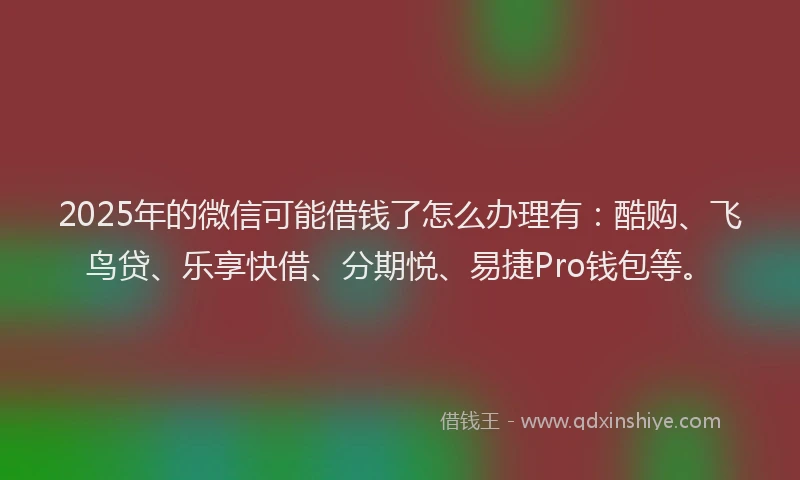 2025年的微信可能借钱了怎么办理有：酷购、飞鸟贷、乐享快借、分期悦、易捷Pro钱包等。