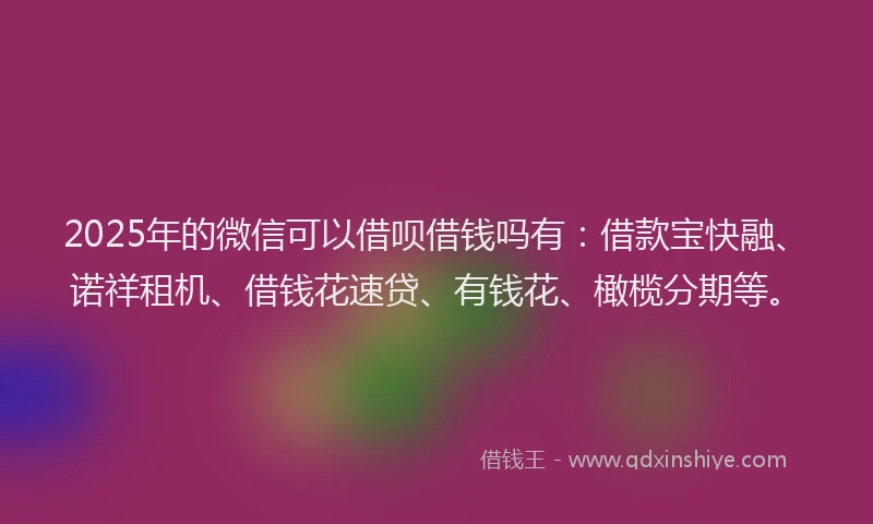 2025年的微信可以借呗借钱吗有：借款宝快融、诺祥租机、借钱花速贷、有钱花、橄榄分期等。