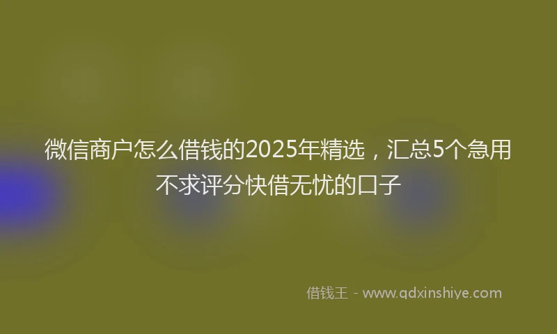 微信商户怎么借钱的2025年精选，汇总5个急用不求评分快借无忧的口子