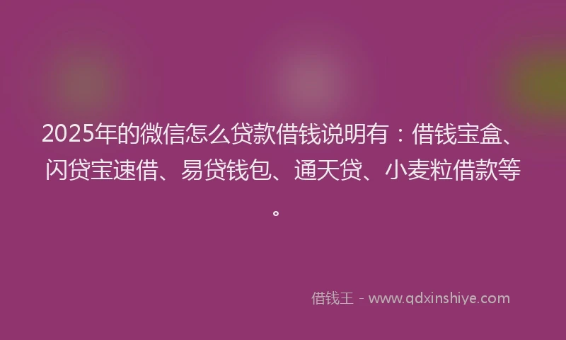 2025年的微信怎么贷款借钱说明有：借钱宝盒、闪贷宝速借、易贷钱包、通天贷、小麦粒借款等。