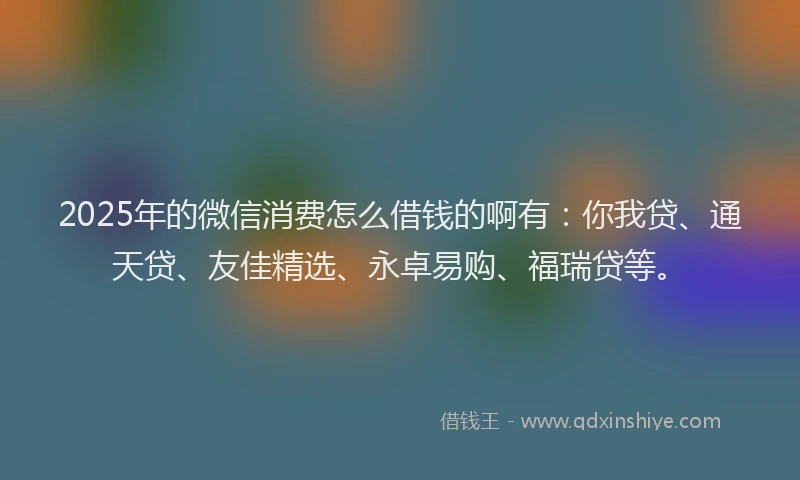 2025年的微信消费怎么借钱的啊有：你我贷、通天贷、友佳精选、永卓易购、福瑞贷等。