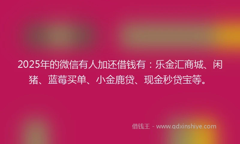 2025年的微信有人加还借钱有：乐金汇商城、闲猪、蓝莓买单、小金鹿贷、现金秒贷宝等。