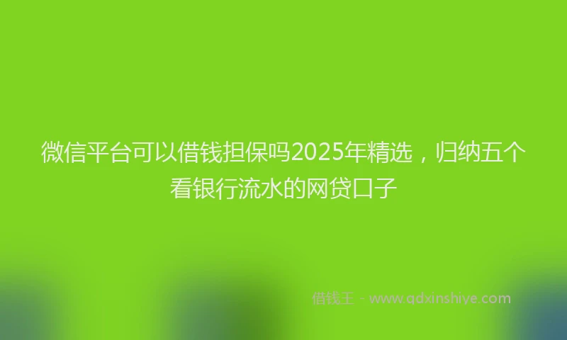 微信平台可以借钱担保吗2025年精选，归纳五个看银行流水的网贷口子