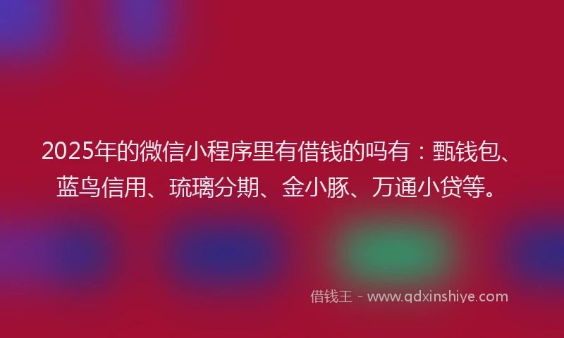 2025年的微信小程序里有借钱的吗有：甄钱包、蓝鸟信用、琉璃分期、金小豚、万通小贷等。