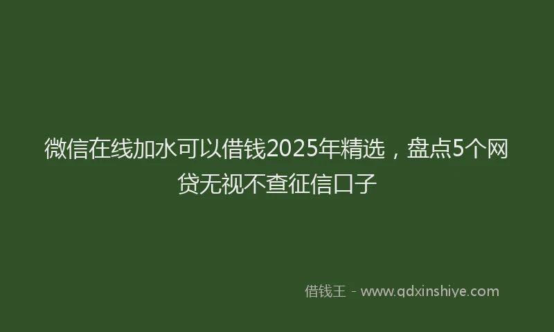 微信在线加水可以借钱2025年精选，盘点5个网贷无视不查征信口子
