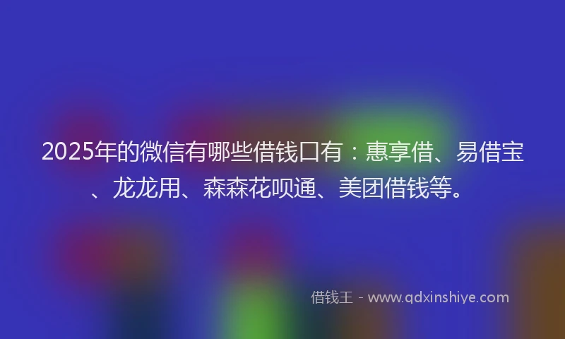 2025年的微信有哪些借钱口有：惠享借、易借宝、龙龙用、森森花呗通、美团借钱等。