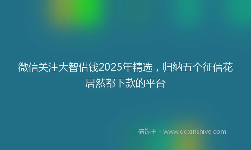 微信关注大智借钱2025年精选，归纳五个征信花居然都下款的平台