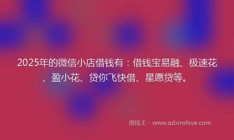 2025年的微信小店借钱有：借钱宝易融、极速花、盈小花、贷你飞快借、星愿贷等。