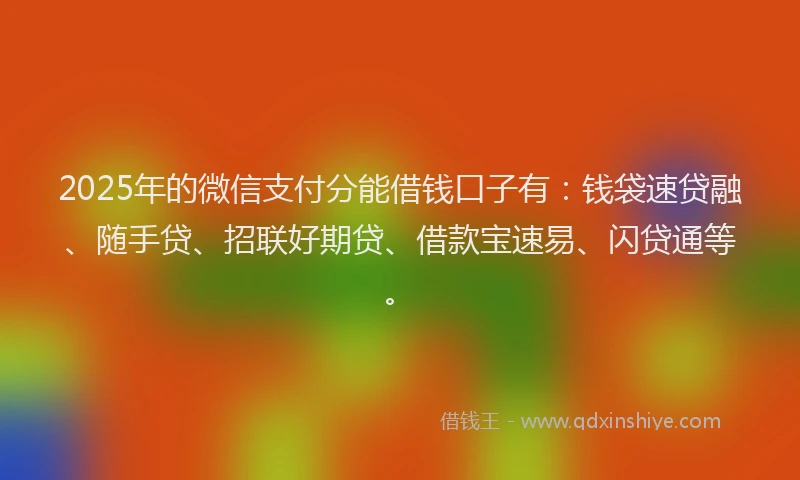 2025年的微信支付分能借钱口子有：钱袋速贷融、随手贷、招联好期贷、借款宝速易、闪贷通等。