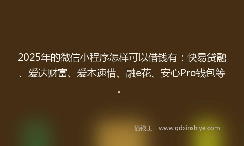 2025年的微信小程序怎样可以借钱有：快易贷融、爱达财富、爱木速借、融e花、安心Pro钱包等。