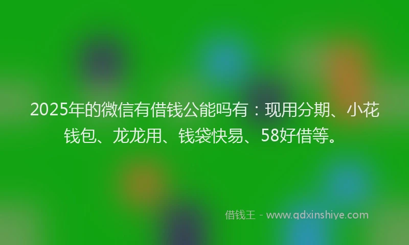 2025年的微信有借钱公能吗有：现用分期、小花钱包、龙龙用、钱袋快易、58好借等。
