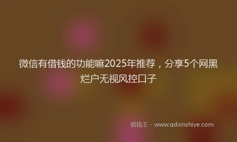 微信有借钱的功能嘛2025年推荐，分享5个网黑烂户无视风控口子