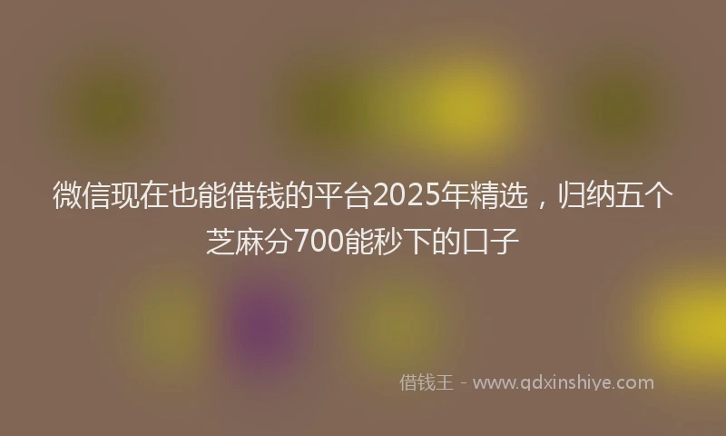 微信现在也能借钱的平台2025年精选，归纳五个芝麻分700能秒下的口子