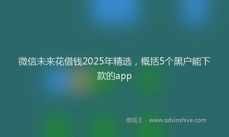 微信未来花借钱2025年精选，概括5个黑户能下款的app