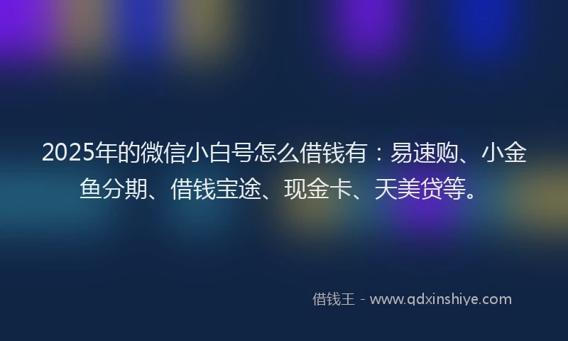 2025年的微信小白号怎么借钱有：易速购、小金鱼分期、借钱宝途、现金卡、天美贷等。