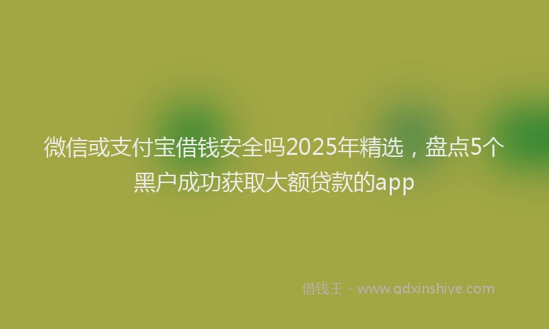 微信或支付宝借钱安全吗2025年精选，盘点5个黑户成功获取大额贷款的app