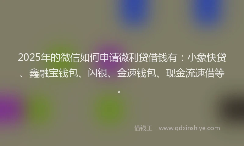 2025年的微信如何申请微利贷借钱有：小象快贷、鑫融宝钱包、闪银、金速钱包、现金流速借等。