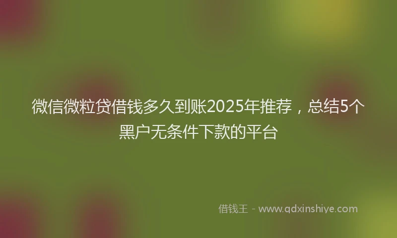 微信微粒贷借钱多久到账2025年推荐，总结5个黑户无条件下款的平台