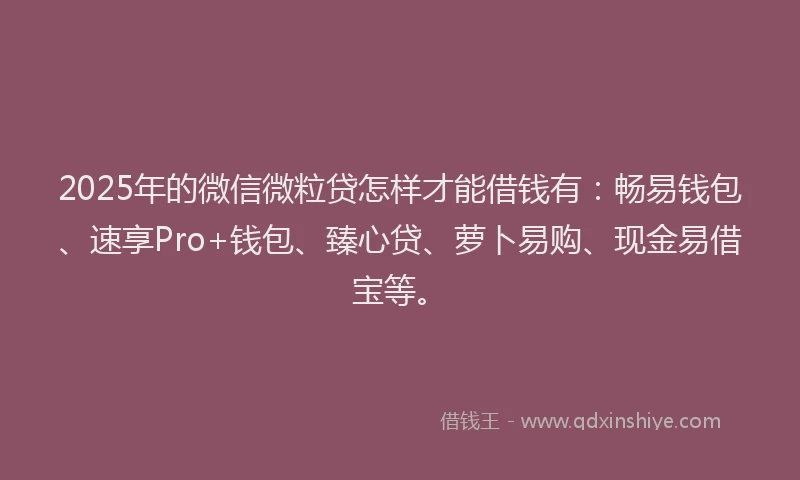 2025年的微信微粒贷怎样才能借钱有：畅易钱包、速享Pro+钱包、臻心贷、萝卜易购、现金易借宝等。