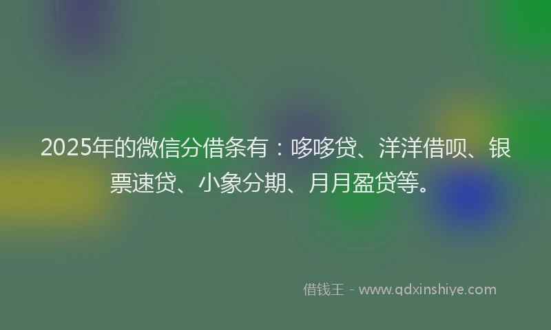 2025年的微信分借条有：哆哆贷、洋洋借呗、银票速贷、小象分期、月月盈贷等。