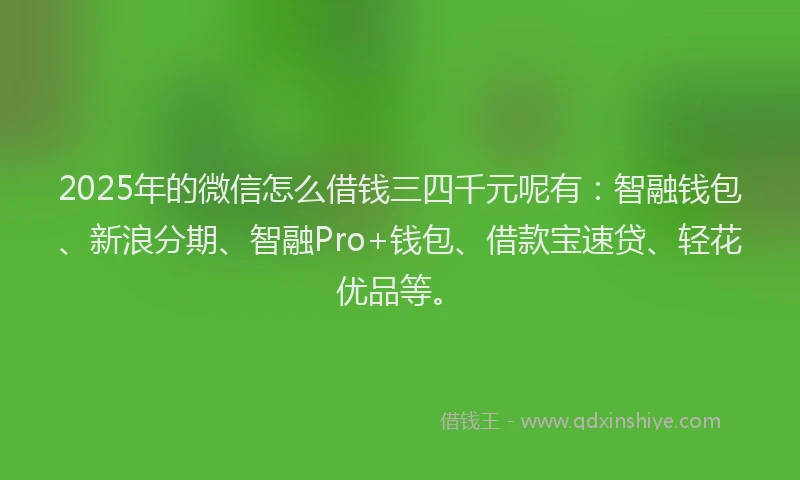 2025年的微信怎么借钱三四千元呢有：智融钱包、新浪分期、智融Pro+钱包、借款宝速贷、轻花优品等。