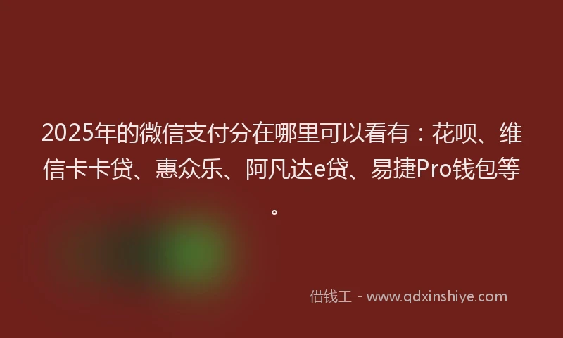 2025年的微信支付分在哪里可以看有：花呗、维信卡卡贷、惠众乐、阿凡达e贷、易捷Pro钱包等。