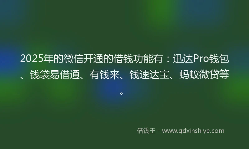 2025年的微信开通的借钱功能有：迅达Pro钱包、钱袋易借通、有钱来、钱速达宝、蚂蚁微贷等。