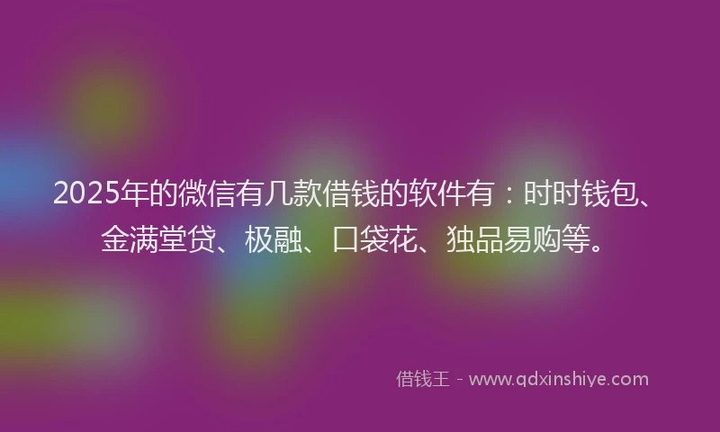 2025年的微信有几款借钱的软件有：时时钱包、金满堂贷、极融、口袋花、独品易购等。