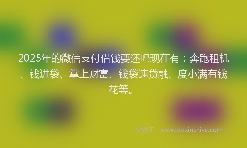 2025年的微信支付借钱要还吗现在有：奔跑租机、钱进袋、掌上财富、钱袋速贷融、度小满有钱花等。