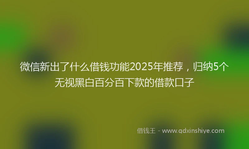 微信新出了什么借钱功能2025年推荐，归纳5个无视黑白百分百下款的借款口子