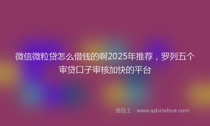 微信微粒贷怎么借钱的啊2025年推荐，罗列五个审贷口子审核加快的平台
