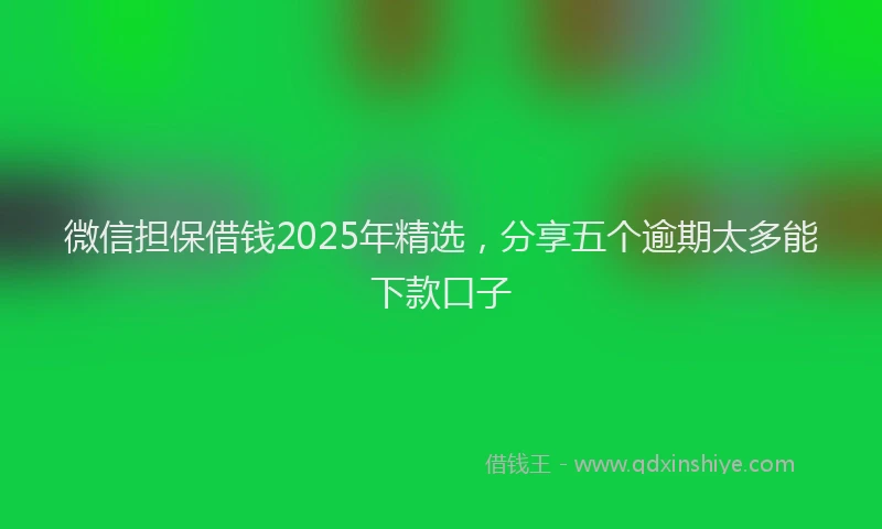 微信担保借钱2025年精选，分享五个逾期太多能下款口子
