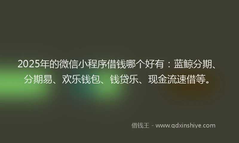 2025年的微信小程序借钱哪个好有：蓝鲸分期、分期易、欢乐钱包、钱贷乐、现金流速借等。
