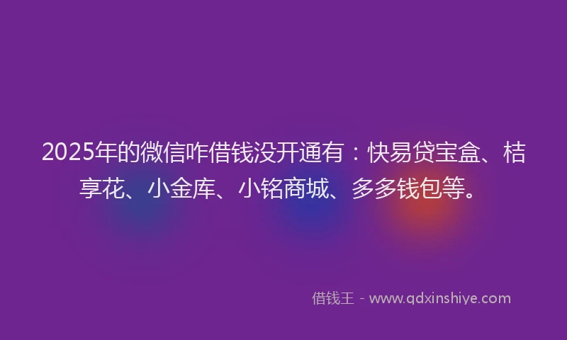 2025年的微信咋借钱没开通有：快易贷宝盒、桔享花、小金库、小铭商城、多多钱包等。