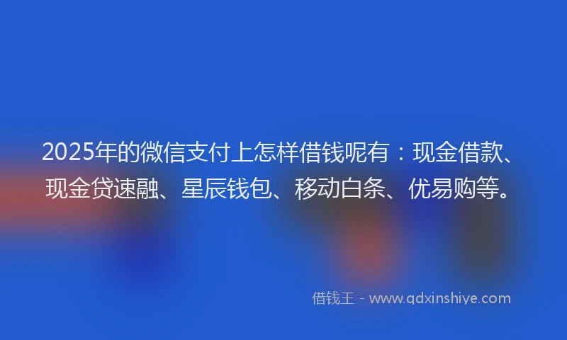2025年的微信支付上怎样借钱呢有：现金借款、现金贷速融、星辰钱包、移动白条、优易购等。