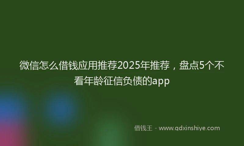 微信怎么借钱应用推荐2025年推荐，盘点5个不看年龄征信负债的app