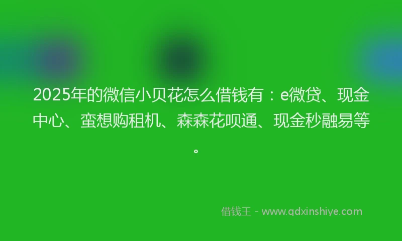 2025年的微信小贝花怎么借钱有：e微贷、现金中心、蛮想购租机、森森花呗通、现金秒融易等。
