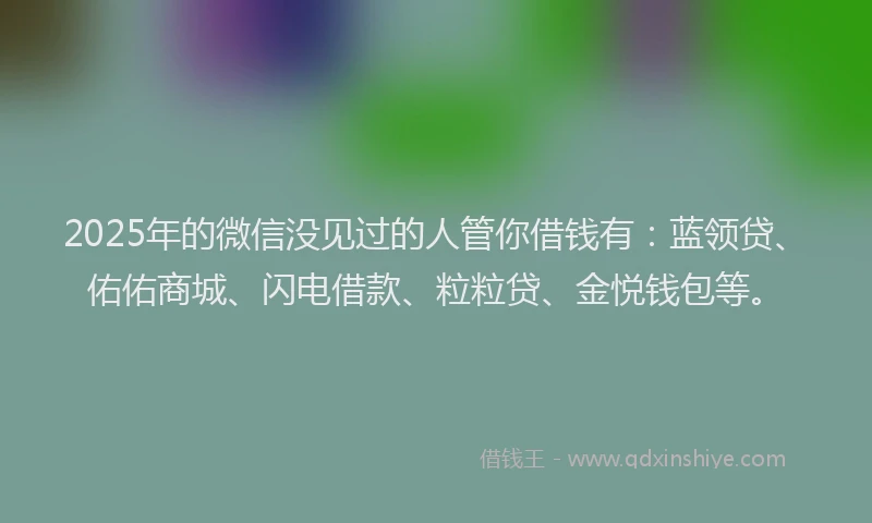 2025年的微信没见过的人管你借钱有：蓝领贷、佑佑商城、闪电借款、粒粒贷、金悦钱包等。