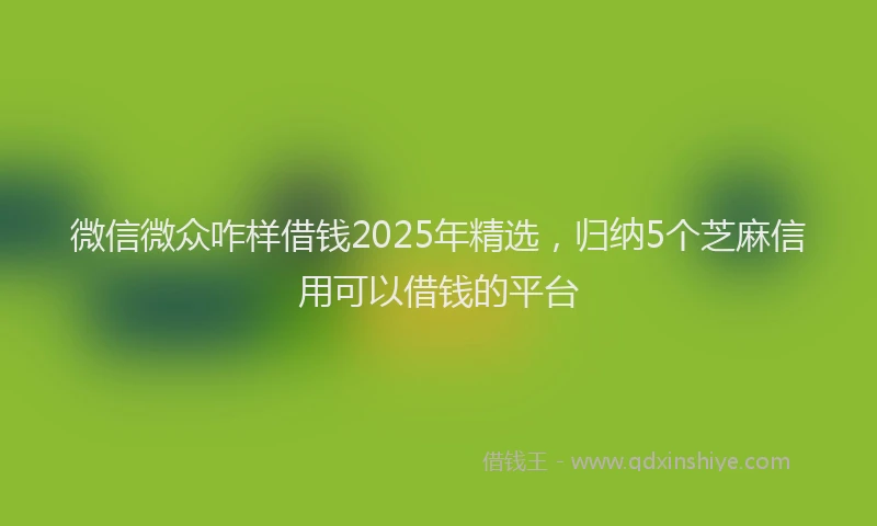 微信微众咋样借钱2025年精选，归纳5个芝麻信用可以借钱的平台