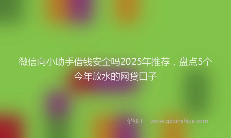 微信向小助手借钱安全吗2025年推荐，盘点5个今年放水的网贷口子