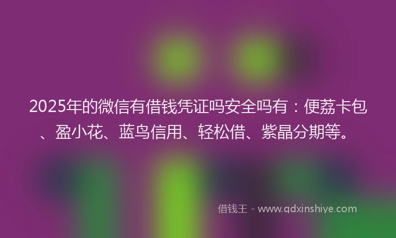 2025年的微信有借钱凭证吗安全吗有：便荔卡包、盈小花、蓝鸟信用、轻松借、紫晶分期等。