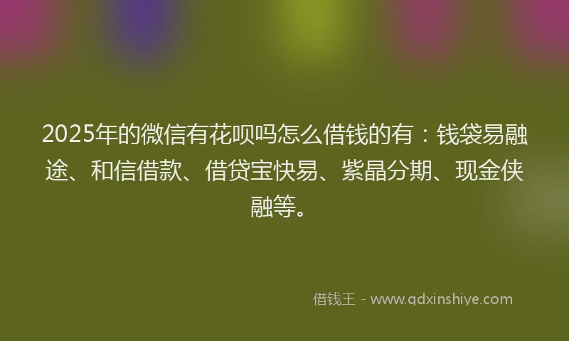 2025年的微信有花呗吗怎么借钱的有：钱袋易融途、和信借款、借贷宝快易、紫晶分期、现金侠融等。