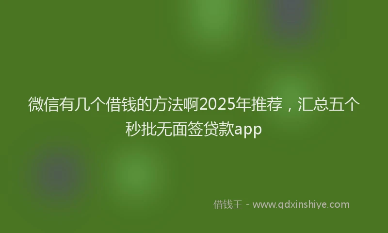 微信有几个借钱的方法啊2025年推荐，汇总五个秒批无面签贷款app