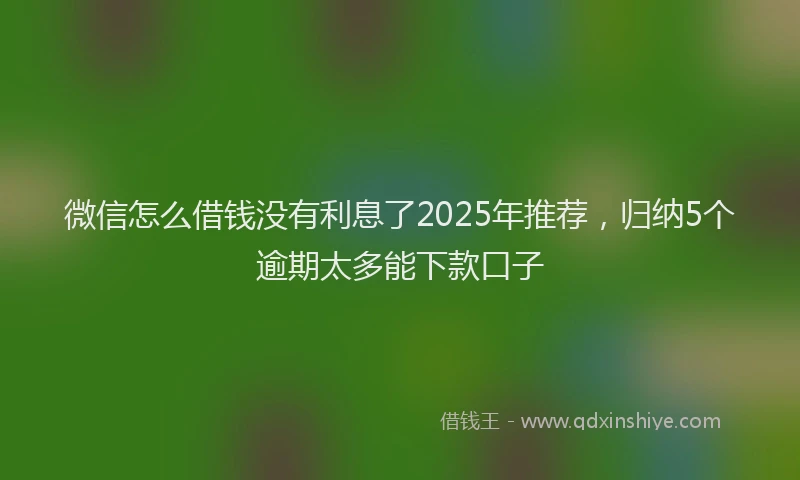 微信怎么借钱没有利息了2025年推荐，归纳5个逾期太多能下款口子